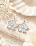 Boucles d'oreilles acier inoxydable - Argent