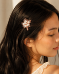 Barrettes Roseline